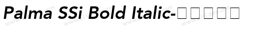 Palma SSi Bold Italic字体转换
